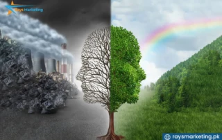 Why Environmental Day Matters