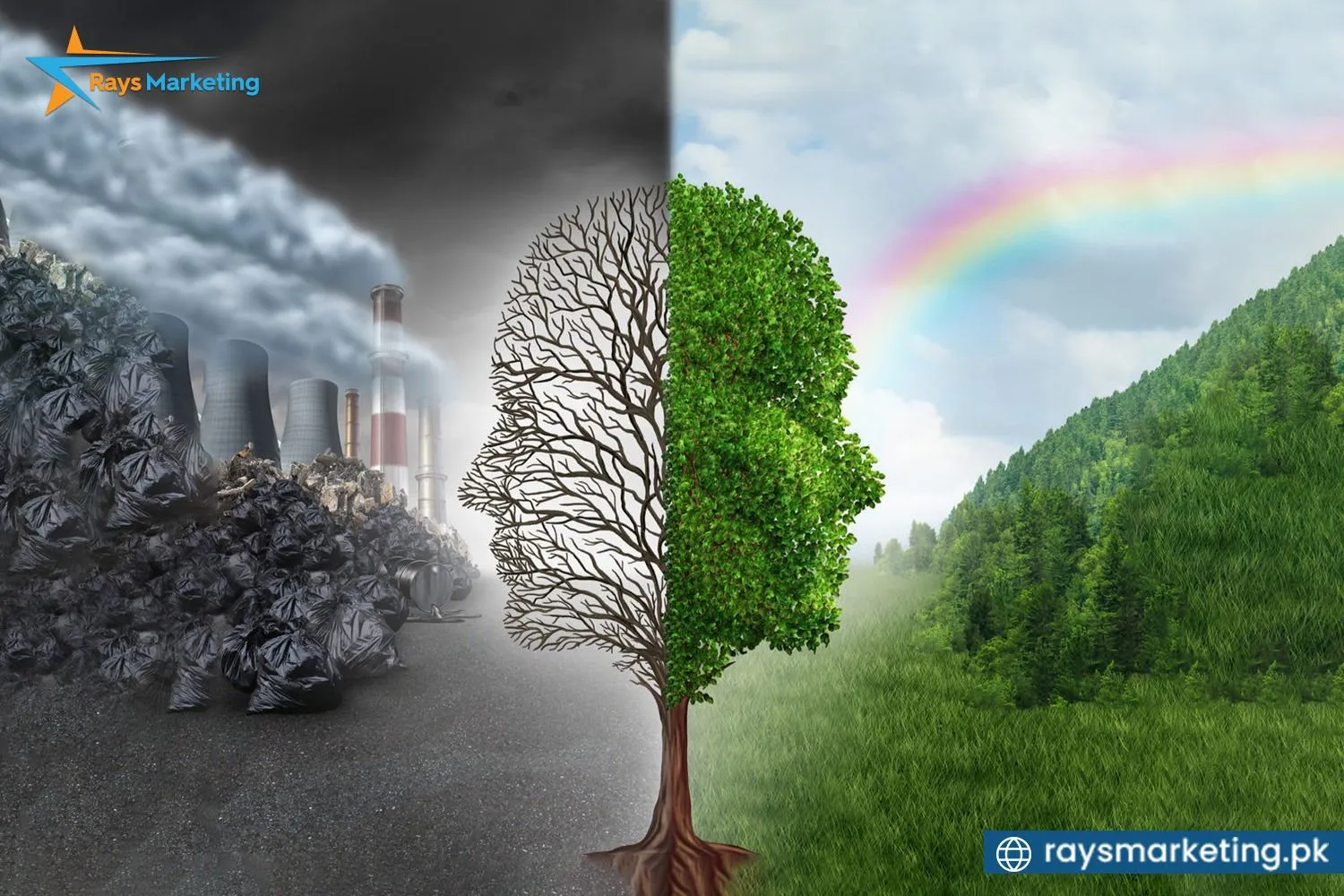 Why Environmental Day Matters