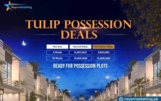 Tulip Possession Deals
